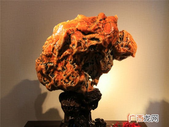 关于阿拉善奇石,阿拉善是什么石？