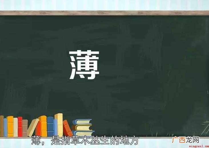 薄的组词有哪些