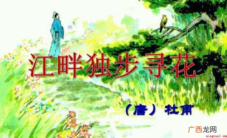 江畔独步寻花·其三的翻译是什么 《江畔独步寻花·其三》的翻译是什么
