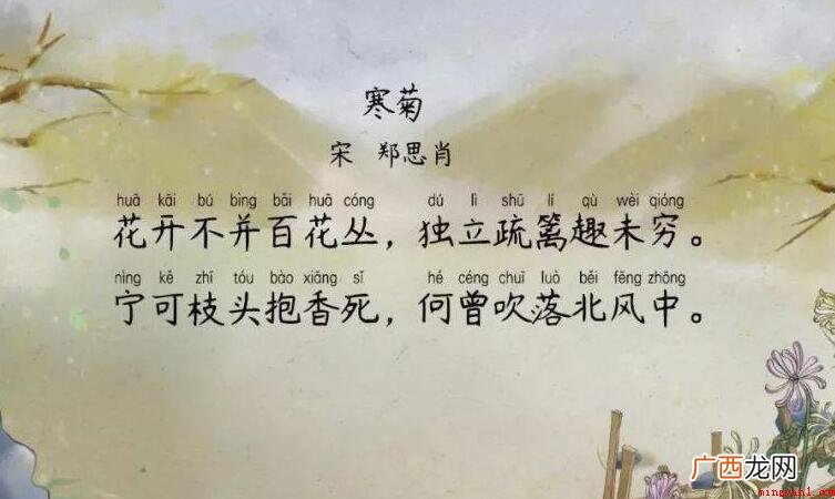 《寒菊》的原文是什么