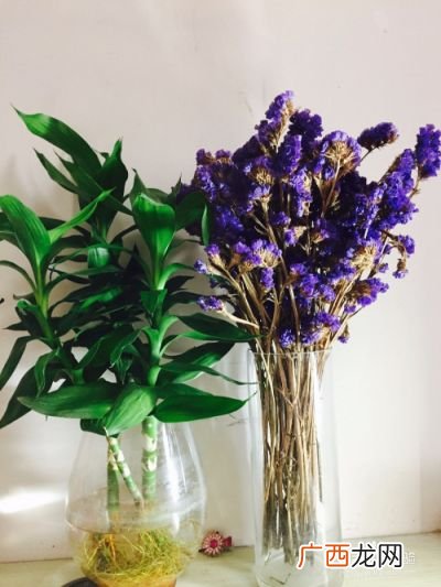怎么把鲜花制作成干花,鲜花制作干花方法教程？