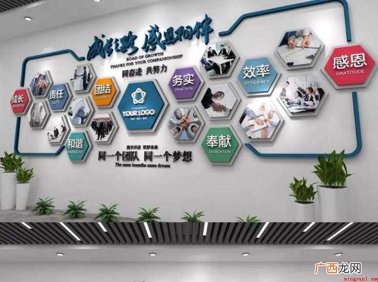 企业文化是什么