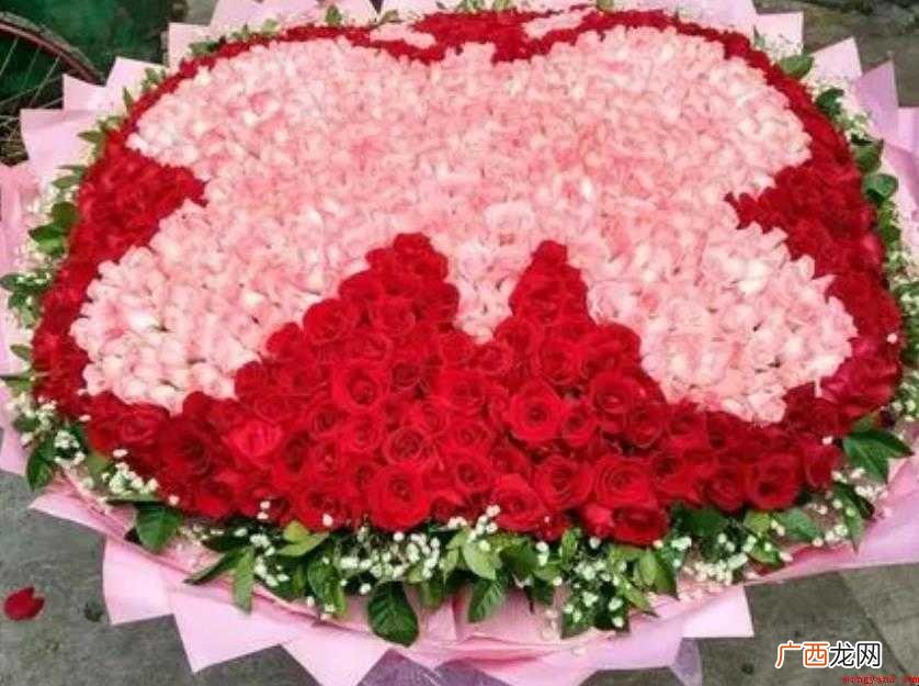 《99朵玫瑰》的歌词是什么 《999朵玫瑰》的歌词是什么