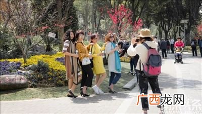南京下关区并入哪个区,南京下关区属于哪个区?