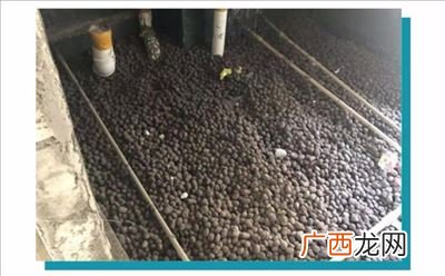 卫生间回填陶粒指的是什么,陶粒回填施工规范？
