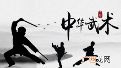 中国武术段位制什么时候成立的,武术有考级吗？