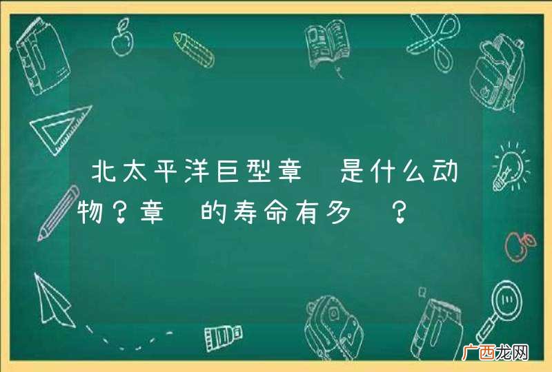 北太平洋巨型章鱼是什么动物？章鱼的寿命有多长？