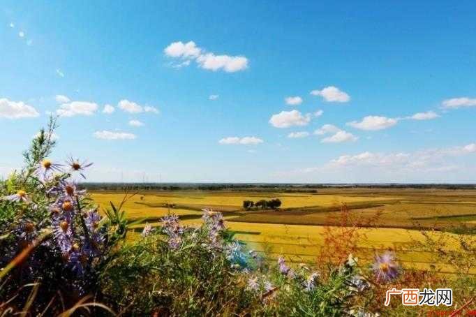艳阳天的意思是什么 出处:白居易《何处难忘酒七首》