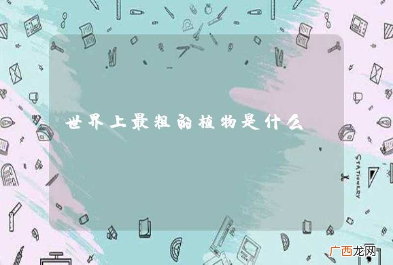 世界上最粗的植物是什么？