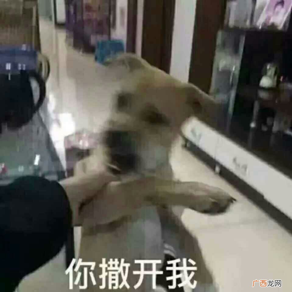 不要靠近我呀是什么梗,会变得不幸 什么梗？