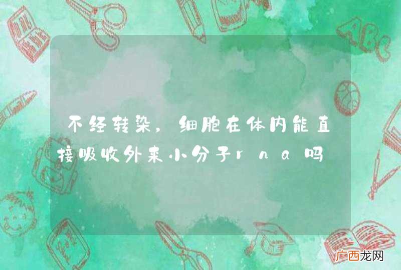 不经转染，细胞在体内能直接吸收外来小分子rna吗