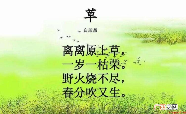 离离原上草出自哪首诗