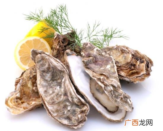 牡蛎干有什么营养,生蚝干和鲜生蚝的区别？