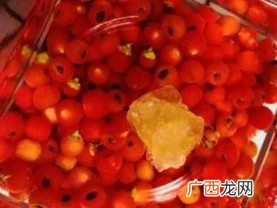 红豆杉泡酒的正确方法
