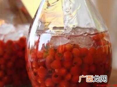 红豆杉泡酒的正确方法