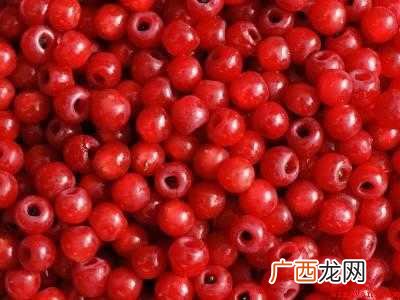 红豆杉泡酒的正确方法