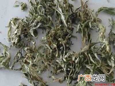 新鲜艾叶怎么晒干保存