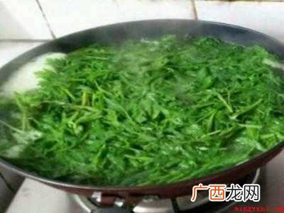 新鲜艾叶怎么晒干保存