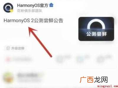 华为P40系统版本:EMUI 11 华为如何安装鸿蒙系统
