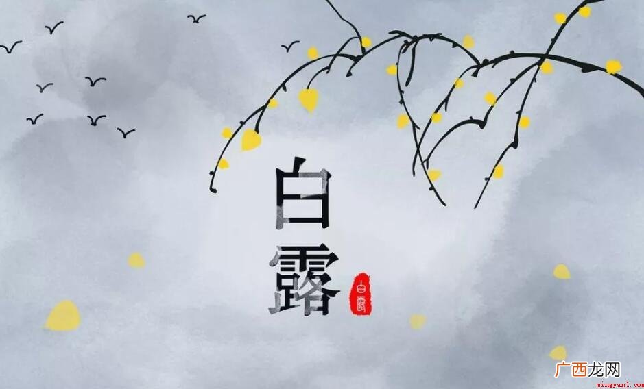 白露秋分是什么意思_健康频道 白露秋分是什么意思