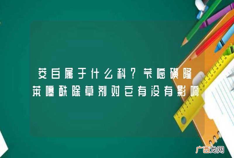 茭白属于什么科？苄嘧磺隆苯噻酰除草剂对它有没有影响？
