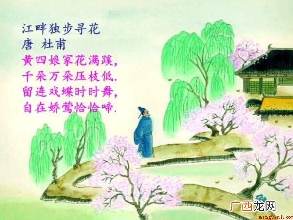 《江畔独步寻花·其六》的原文是什么