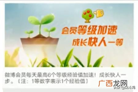 新浪微博怎么看别人的微博等级,新浪微博怎样提升微博等级？