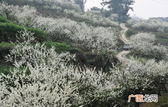 永川黄瓜山有什么好玩的,永川有哪些旅游景点？