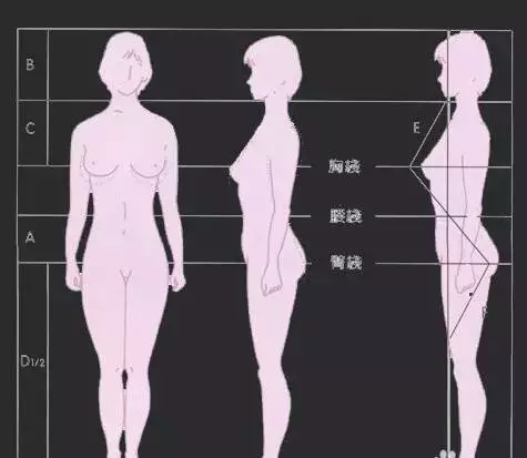 黄金比例身材怎么算,人身材的黄金比例是多少？