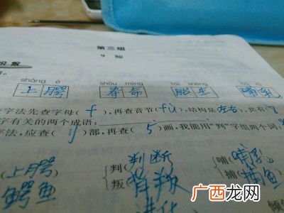 跟双字有关的成语,带双字的成语？