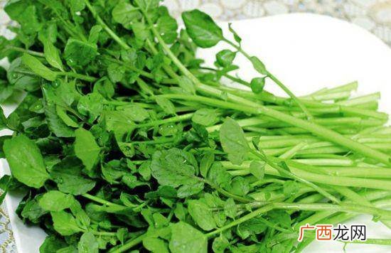 什么是豆瓣菜,豆瓣菜湖北叫什么菜？