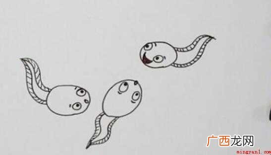 小蝌蚪简笔画怎么画