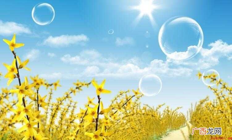 描写夏天的好段摘抄有哪些