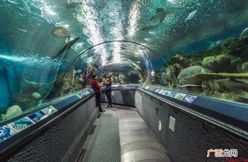 上海海洋水族馆在哪里