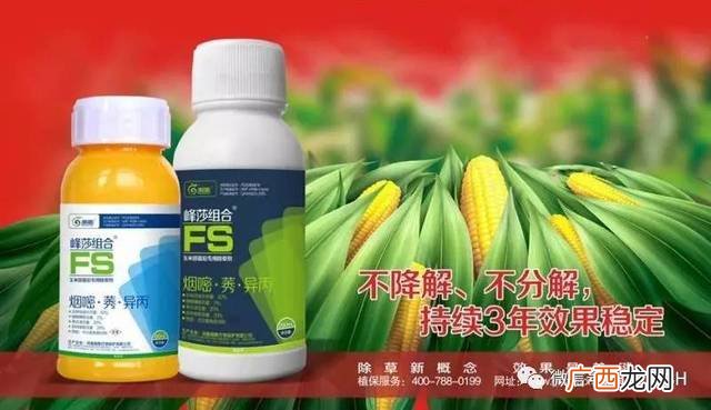 常用的除草剂主要有哪几种,除草剂名称？