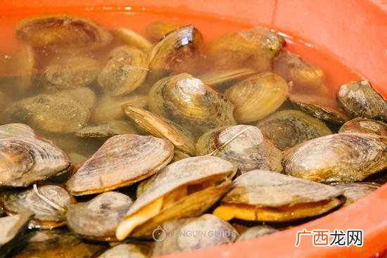 大河蚌怎么取肉,河蚌切法？