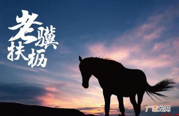 老骥伏枥的意思是什么