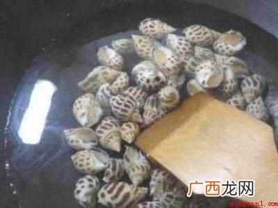 花螺怎么清洗才干净