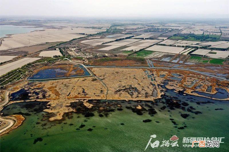 新疆玛纳斯县,玛纳斯特色十大小吃？