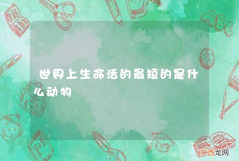 世界上生命活的最短的是什么动物