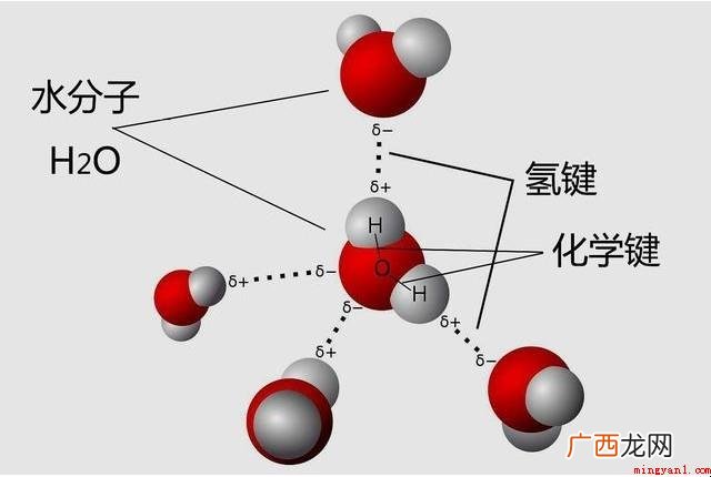 什么是化学键?_科技频道 什么是化学键