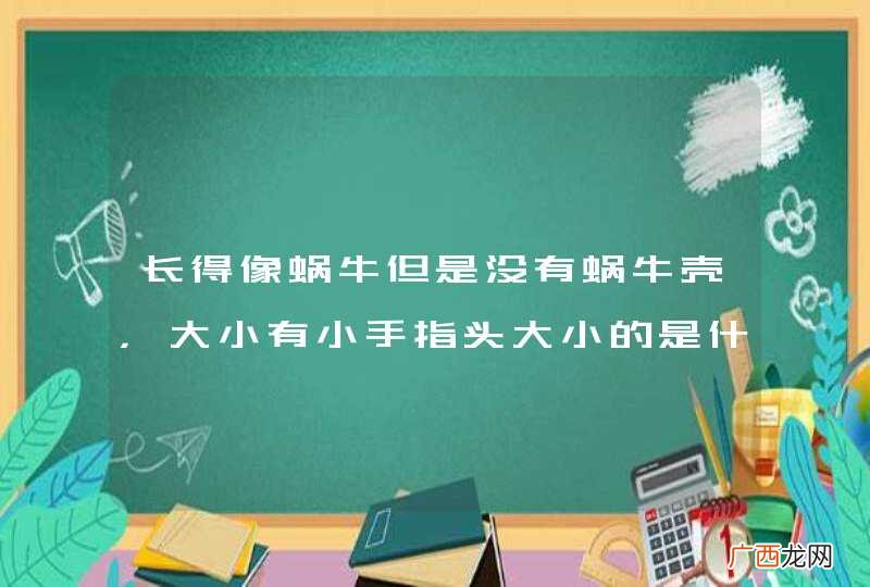 长得像蜗牛但是没有蜗牛壳，大小有小手指头大小的是什么虫啊？
