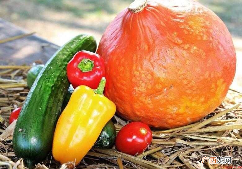 素食主义者的意思是什么