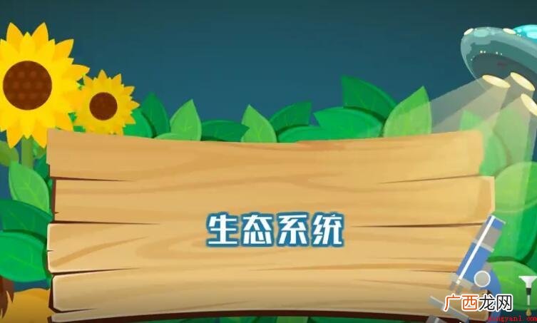 生态系统有哪些组成分? 生态系统有哪些组成成分