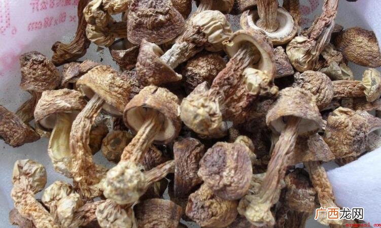 干松茸要泡多久_健康频道 干松茸要泡多久