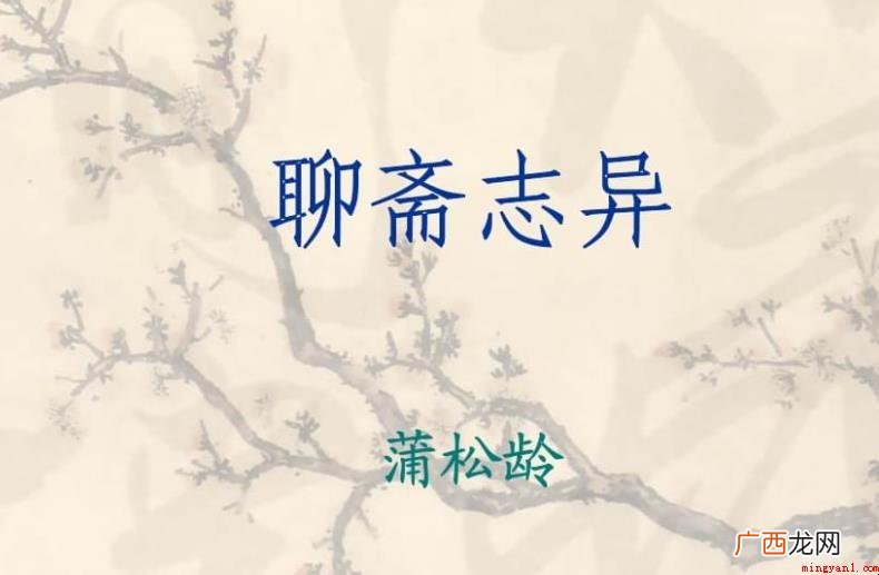 《聊斋志异》有什么内容
