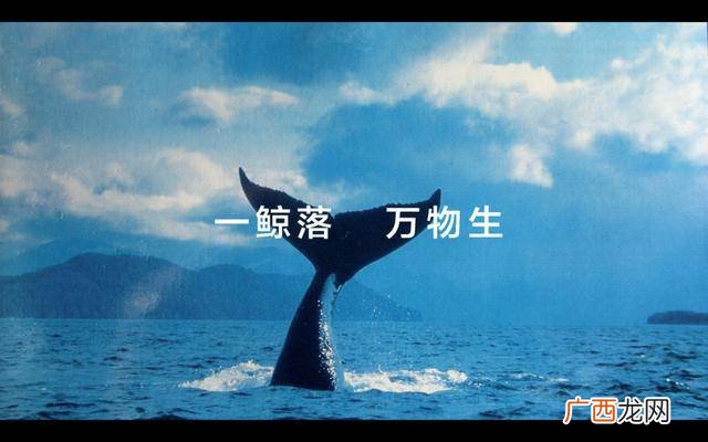 万物生是啥意思,万物生光辉什么意思？