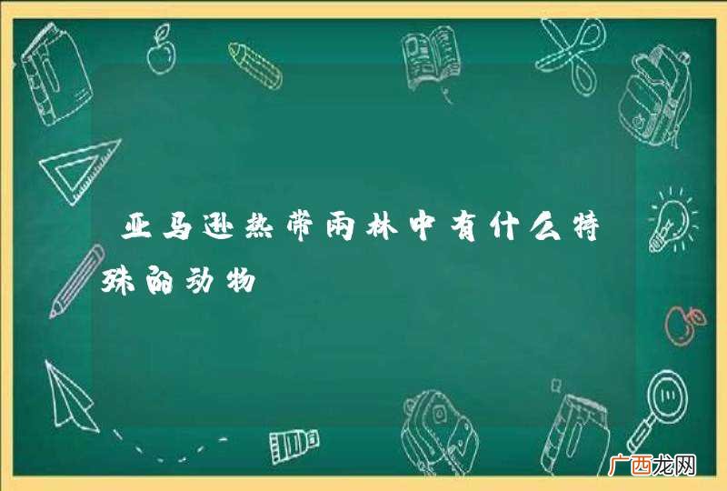 亚马逊热带雨林中有什么特殊的动物？