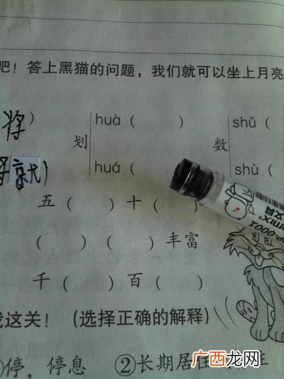 珠字怎样组词,三年级上册珠的组词大全？