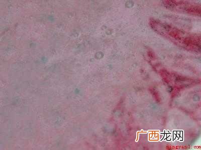 怎么吃火龙果